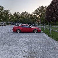 View member profile