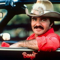 Bandit